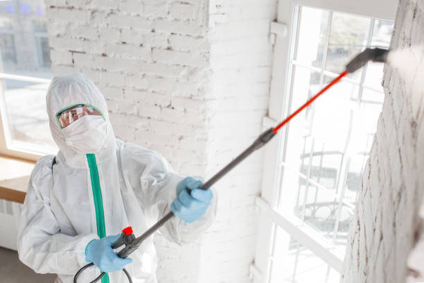 Mold Remediation for Rental Properties in Oak Grove, VA